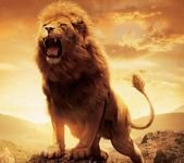 pic for aslan lion 1440x1280